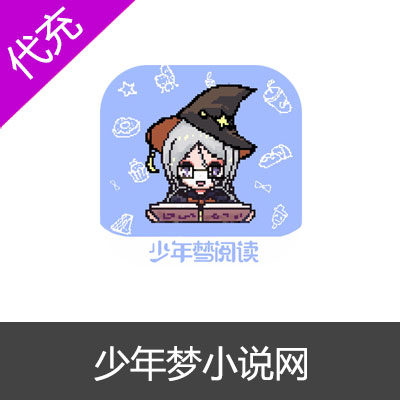 少年梦小说网代充